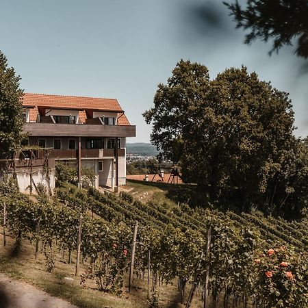 Villa Weingut Assigal Leibnitz Exterior foto