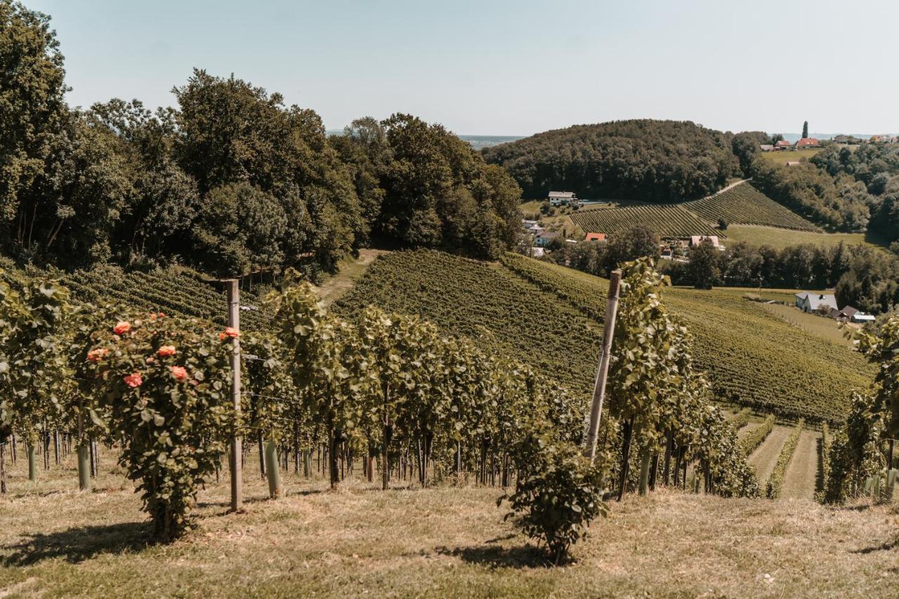 Villa Weingut Assigal Leibnitz Exterior foto