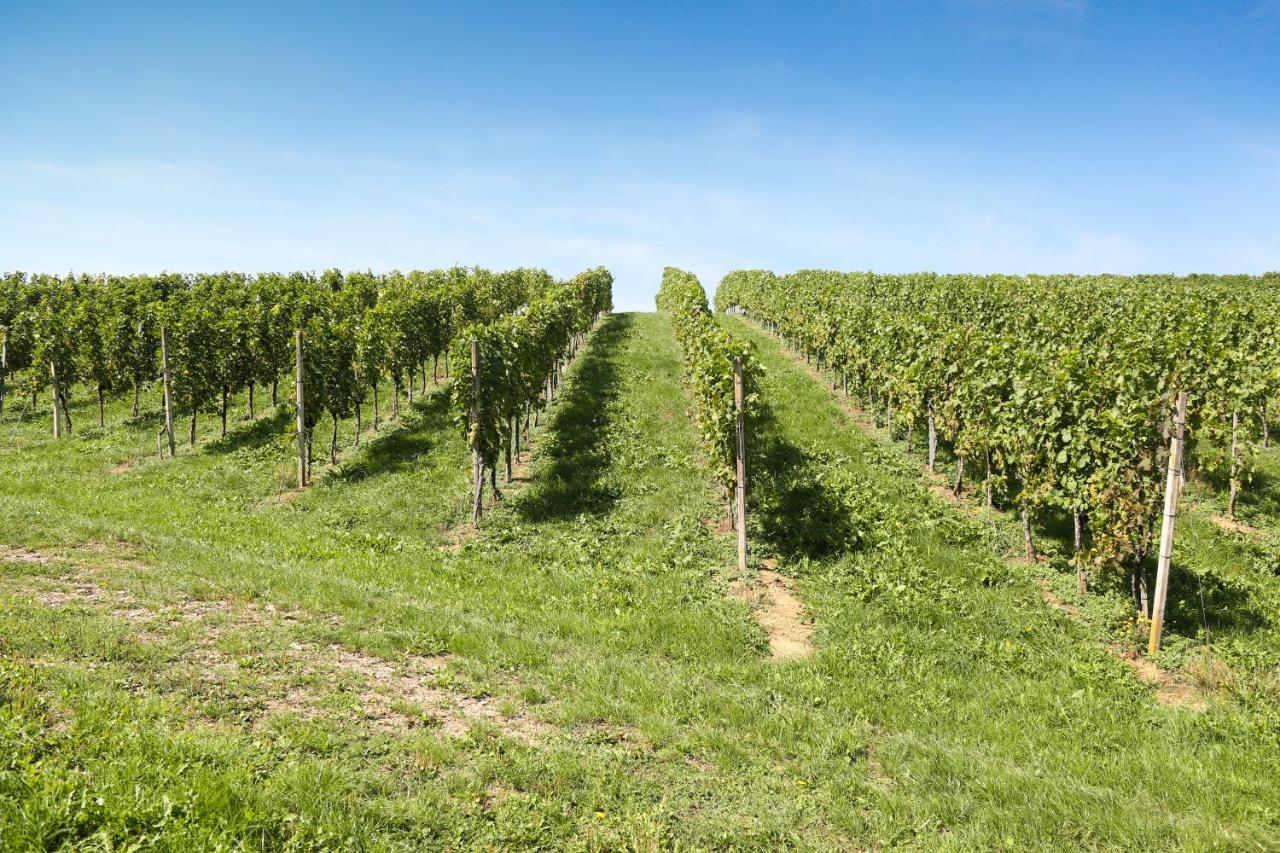 Villa Weingut Assigal Leibnitz Exterior foto